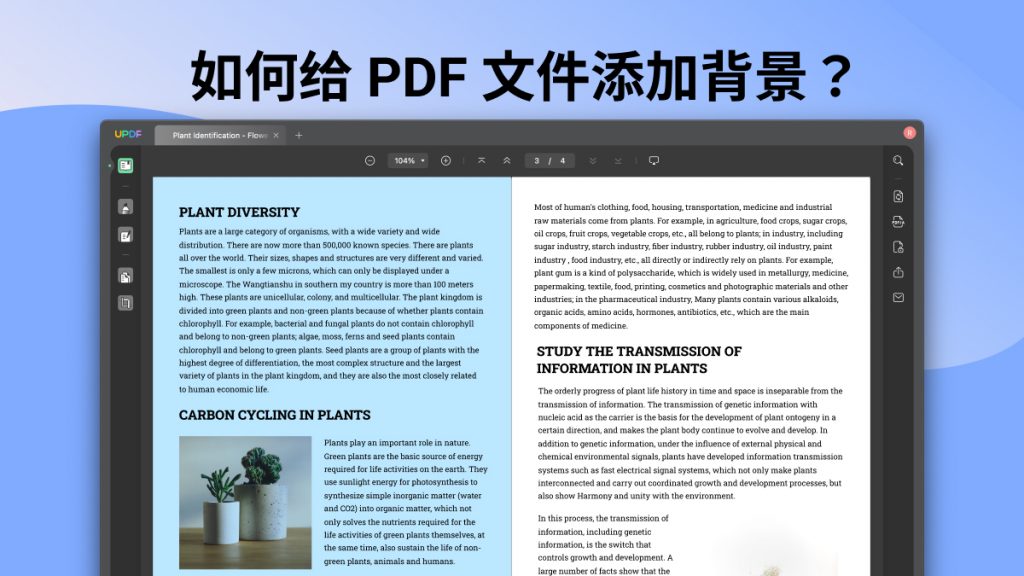 如何给PDF文件添加背景？PDF加背景有啥技巧？