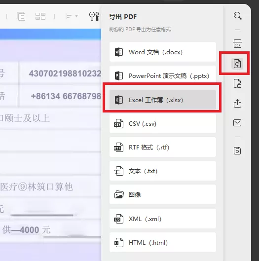 PDF导出为Excel工作簿