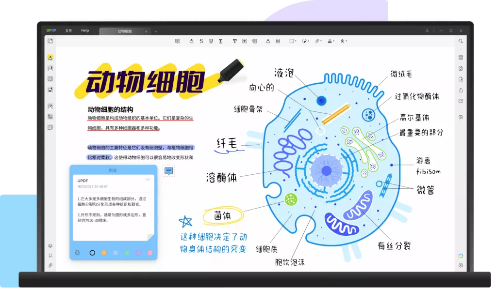 PDF浏览器