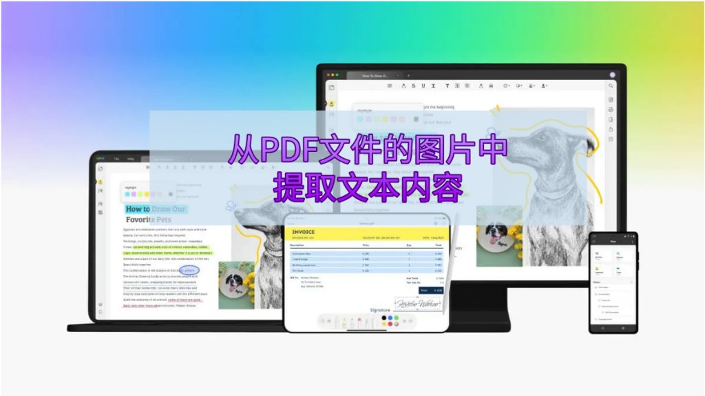 如何快速从PDF文件的图片中提取文本内容？