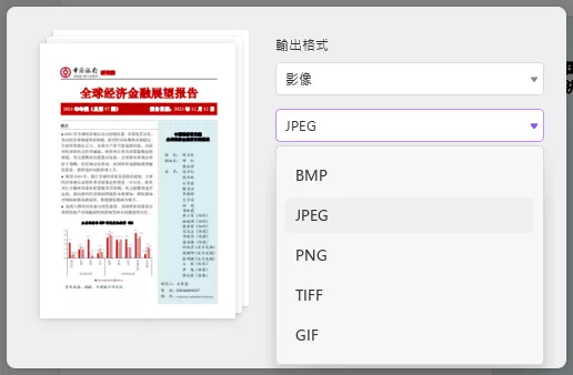 选择输出的图片格式