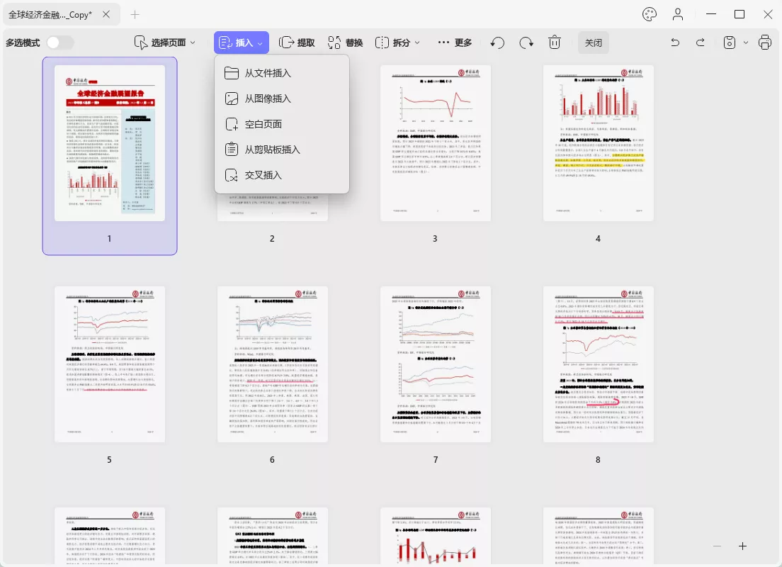 PDF文档插入页面
